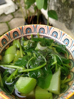 Foto resep Sayur Bening Bayam Labu