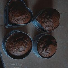 A picture of Moist Matilda cake.
