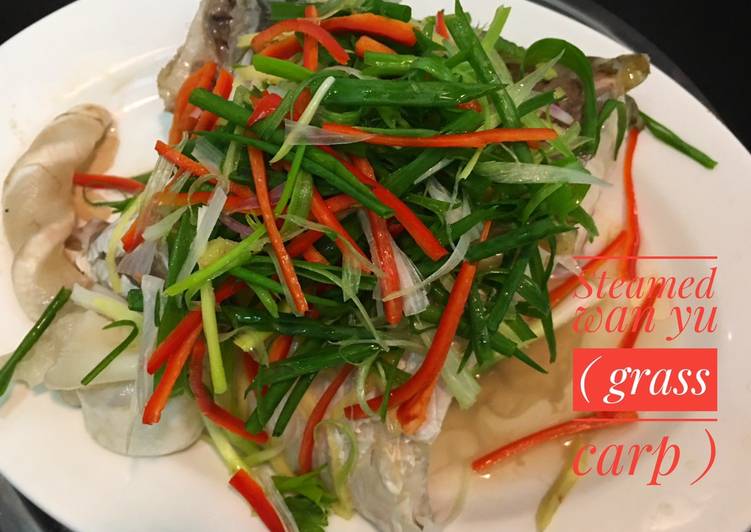 Steamed wan yu (grass carp)