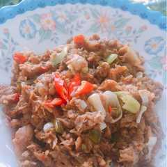 A picture of Tumis Tuna.
