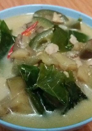 Foto resep Sayur Lodeh Terong