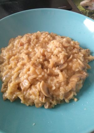 Una foto de Risotto Fit