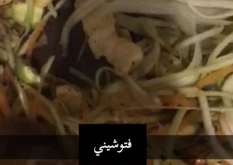 فيتوشيني بالدجاج والخضار