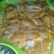 Kerang batik manis pedas