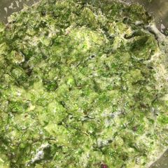 A picture of Pudina chutney.
