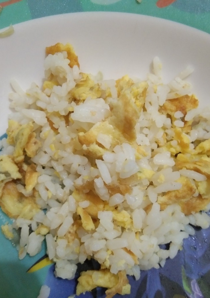 Foto resep Nasi goreng telor orak arik