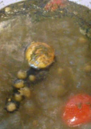 عکسی از دستور خورشت قورمه سبزی