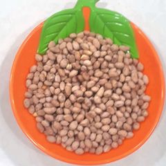 A picture of Homemade Salted Roasted Peanuts (Kharising).