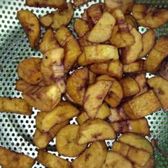A picture of Dodo.