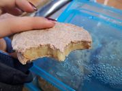 Una foto de pancakes con manzana