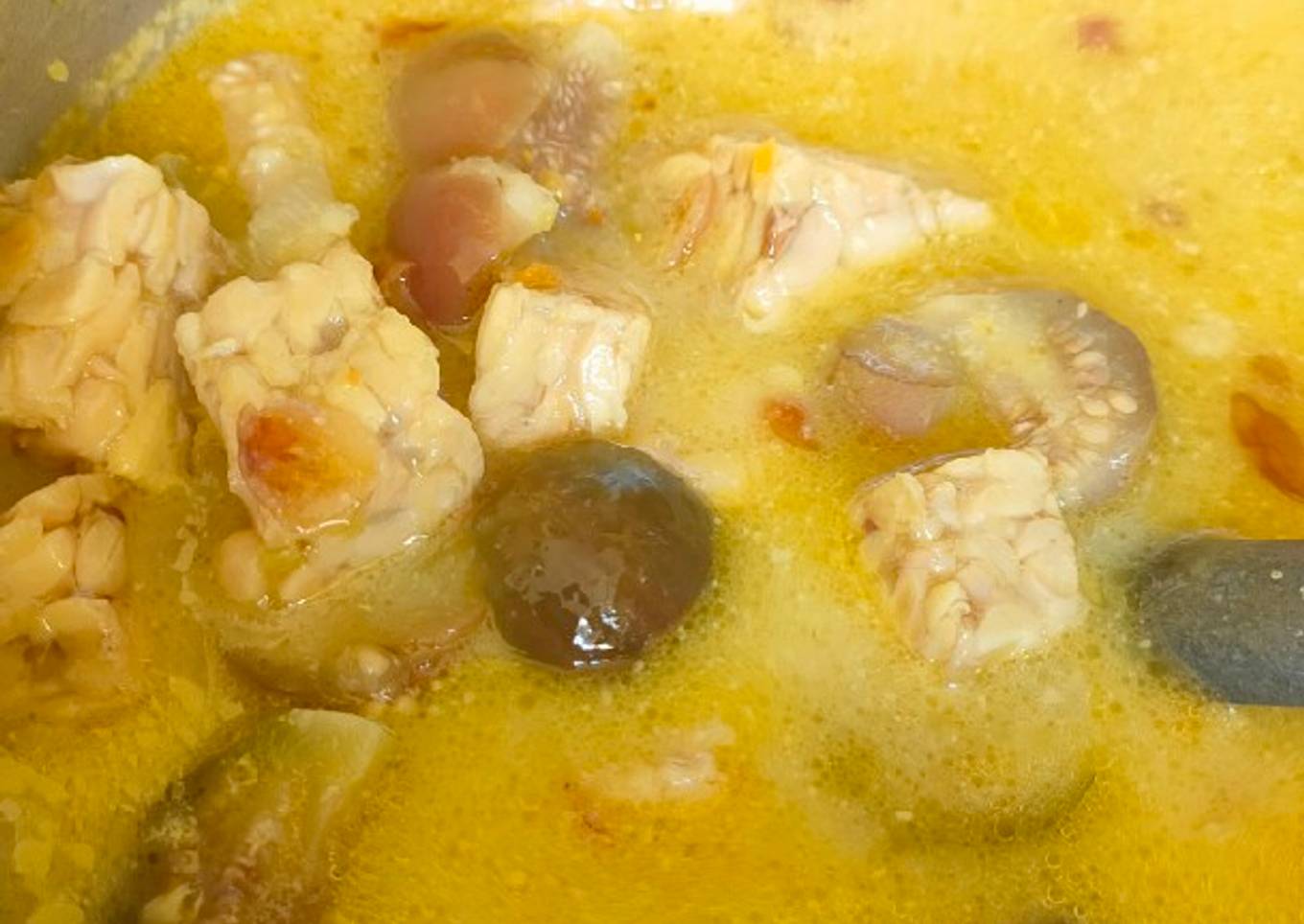 Lodeh Terong Tempe