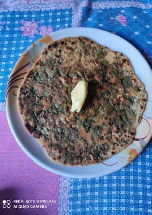 A picture of Palak paratha.