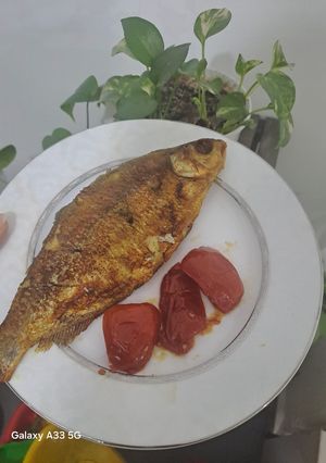 عکسی از دستور ماهی سرخ شده