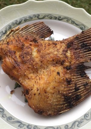 Foto resep Gurame goreng