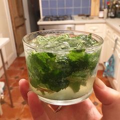 A picture of Mojito.