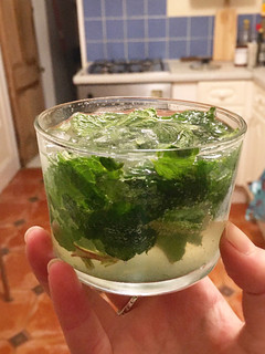 A picture of Mojito.