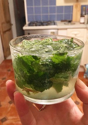 A picture of Mojito.