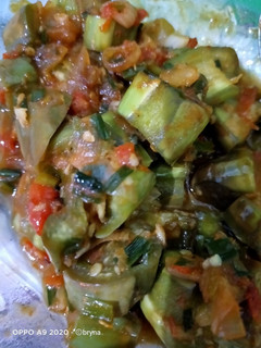 Foto resep Tumis sambal terong hijau