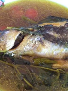 Foto resep Pindang patin