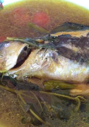 Foto resep Pindang patin