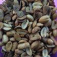 Kacang bawang