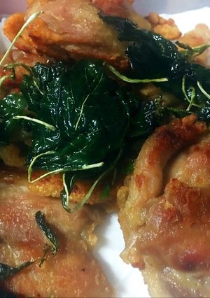 รูปของ ไก่ทอดน้ำปลา+กระเพรากรอบ