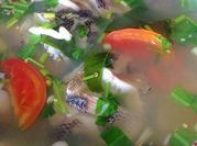 A picture of tilapia with tomatoes