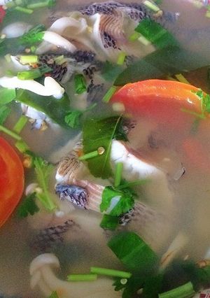 A picture of Tom Yum with Baby Nile Tilapia.