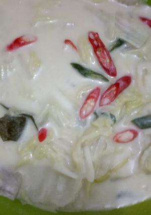 Foto resep Lodeh Sawi Putih