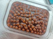 Gambar boba tepung sagu