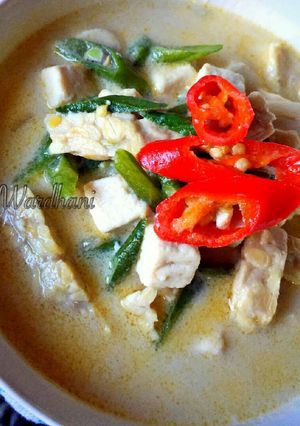 Foto resep Oseng Tahu Tempe Masak Santan