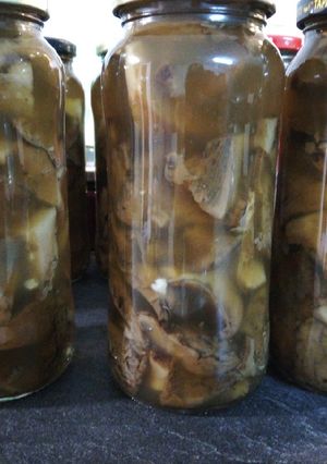 Una foto de Conserva de níscalos o rovellons