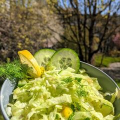 A picture of Lettuce dill salad.