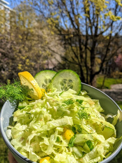 A picture of Lettuce dill salad.