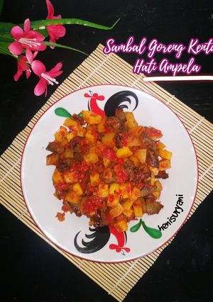 Foto resep 236. Sambal Goreng Kentang Hati Ampela