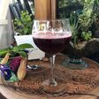 Soda de flor de jamaica