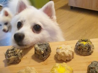狗狗鮮食～點心，肉肉燕麥月餅（簡單做，氣炸鍋）