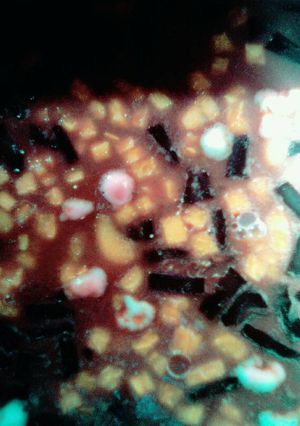 Foto resep Agar anekabuah dan cincau