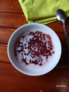 Foto resep Bubur mutiara kuah santan