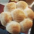 Chia magos buci