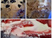 Una foto de pepitos de crema