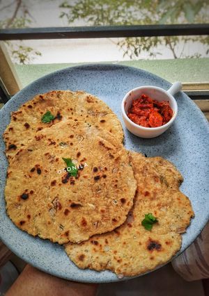 A picture of Oats veggies paratha.