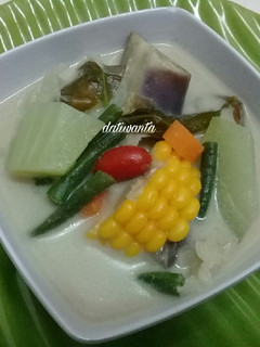 Foto resep #21 Sayur lodeh simpel