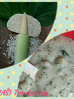 Foto resep MPASI 7m : Bubur sayur bayam tempe