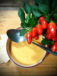Una foto de Crema de Calabaza