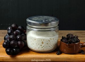 Foto resep Starter Sourdough, Yeast Water Kismis (1175)