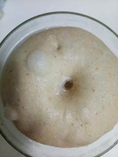 【麵包】基礎甜麵糰（湯種） 的食譜成品照片