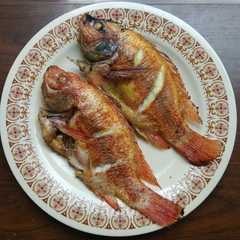 รูปของ Ikan Goreng Marinasi