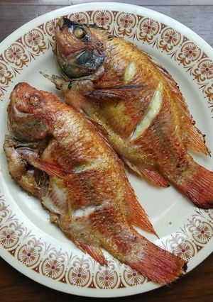 Foto resep Ikan Goreng Marinasi