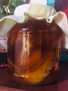 Una foto de Kombucha: bebida fermentada